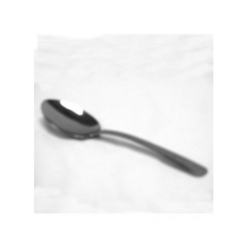 Table Serving Spoon